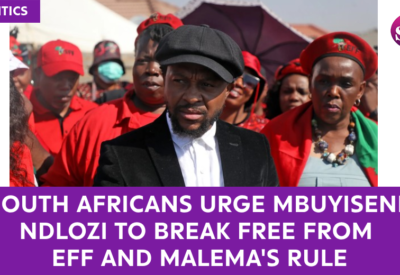 South Africans Urge Mbuyiseni Ndlozi to Break Free from EFF and Malema