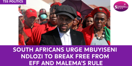 South Africans Urge Mbuyiseni Ndlozi to Break Free from EFF and Malema