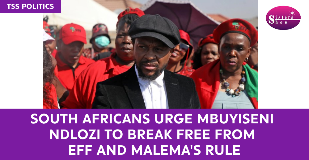 South Africans Urge Mbuyiseni Ndlozi to Break Free from EFF and Malema