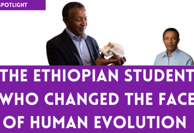 A Discovery That Changed Human Evolution