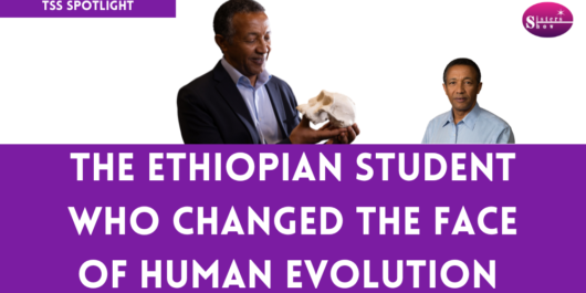 A Discovery That Changed Human Evolution